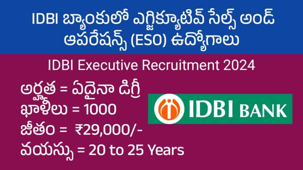 IDBI Executive Recruitment 2024 (1000 Vacancies)