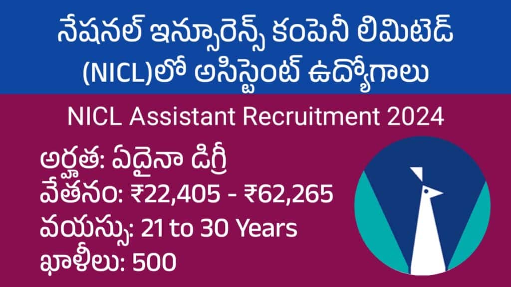 డిగ్రీ అర్హతతో NICLలో 500 అసిస్టెంట్ ఉద్యోగాలు | NICL Assistant Notification 2024